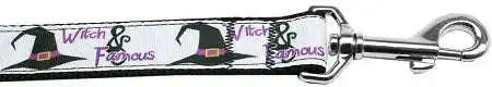 Witch-And-Famous-Nylon-Dog-Leash-5-8-Inch-Wide-6ft-Long-GreatEagleInc-318769430