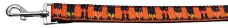 Witches-Brew-Nylon-Dog-Leash-3-8-Inch-Wide-4ft-Long-GreatEagleInc-318476769