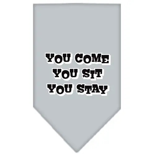 You Come, You Sit, You Stay Screen Print Bandana Grey Small Default Title