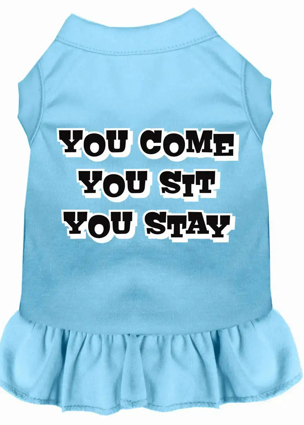 You-Come_-You-Sit_-You-Stay-Screen-Print-Dress-Baby-Blue-Lg-GreatEagleInc-320200396