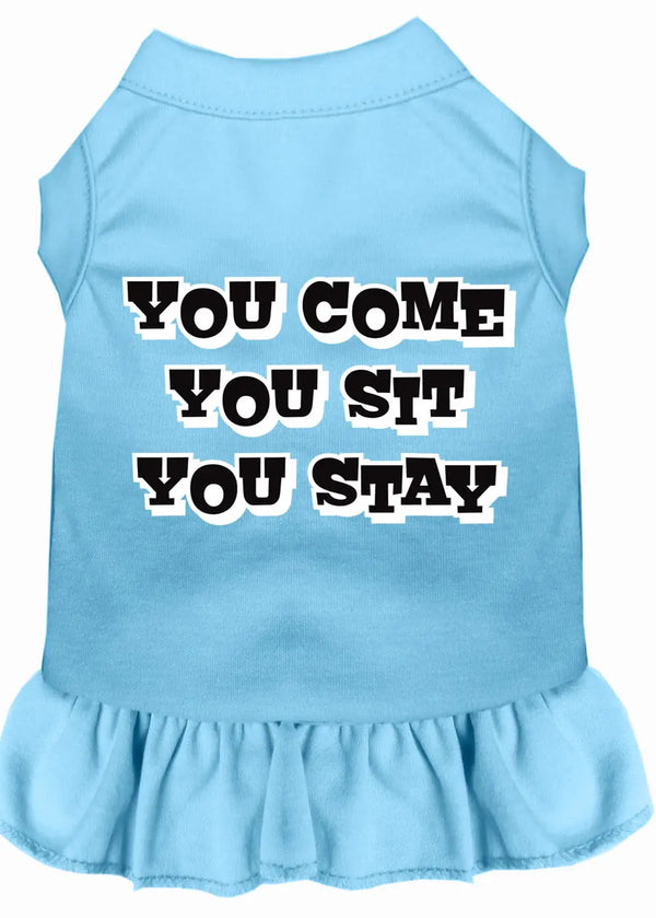 You Come, You Sit, You Stay Screen Print Dress Baby Blue Xs Default Title