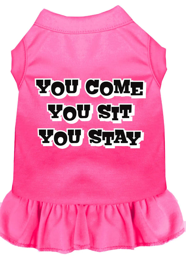 You Come, You Sit, You Stay Screen Print Dress Bright Pink 4x (22) Default Title