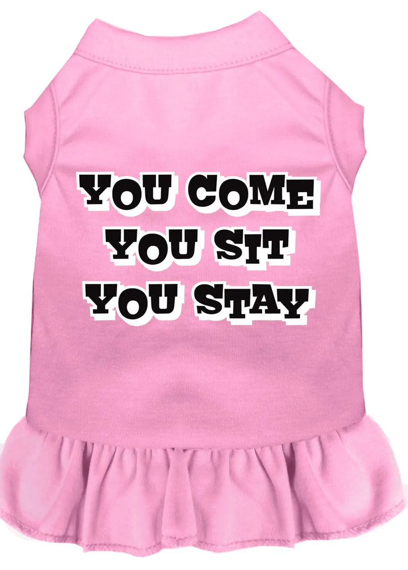 You Come, You Sit, You Stay Screen Print Dress Light Pink 4x (22) Default Title