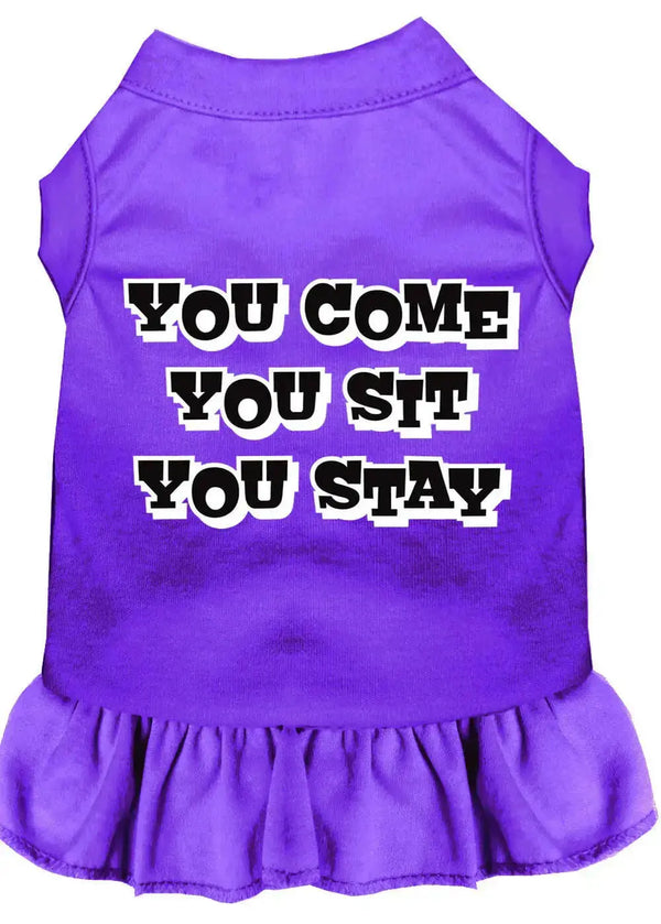 You-Come_-You-Sit_-You-Stay-Screen-Print-Dress-Purple-Xxxl-GreatEagleInc-318876543