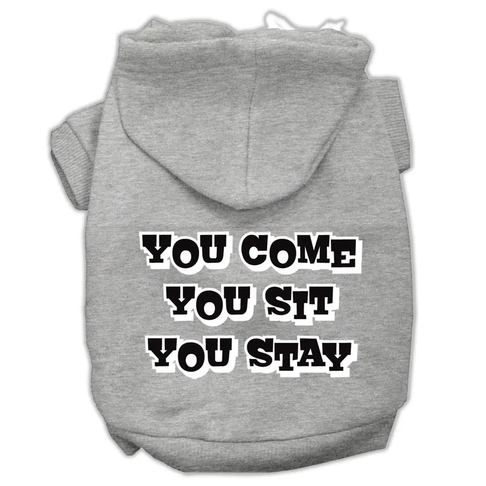 You Come, You Sit, You Stay Screen Print Pet Hoodies Grey Size M Default Title