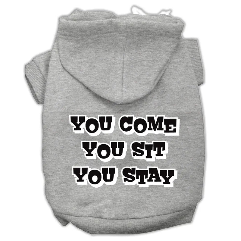 You Come, You Sit, You Stay Screen Print Pet Hoodies Grey Size S Default Title