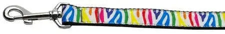 Zebra-Rainbow-Nylon-Dog-Leash-5-8-Inch-Wide-6ft-Long-GreatEagleInc-318521257