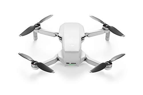DJI Mavic Mini Combo - Drone FlyCam Quadcopter UAV with 2.7K Camera 3-Axis Gimbal GPS 30min Flight Time, less than 0.55lbs, Gray DJI
