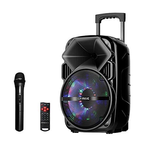 EARISE Bluetooth PA Speaker System with Wireless Microphone, Portable Outdoor Karaoke Machine - Fun Wireless Speaker for Party - V30 Black EARISE